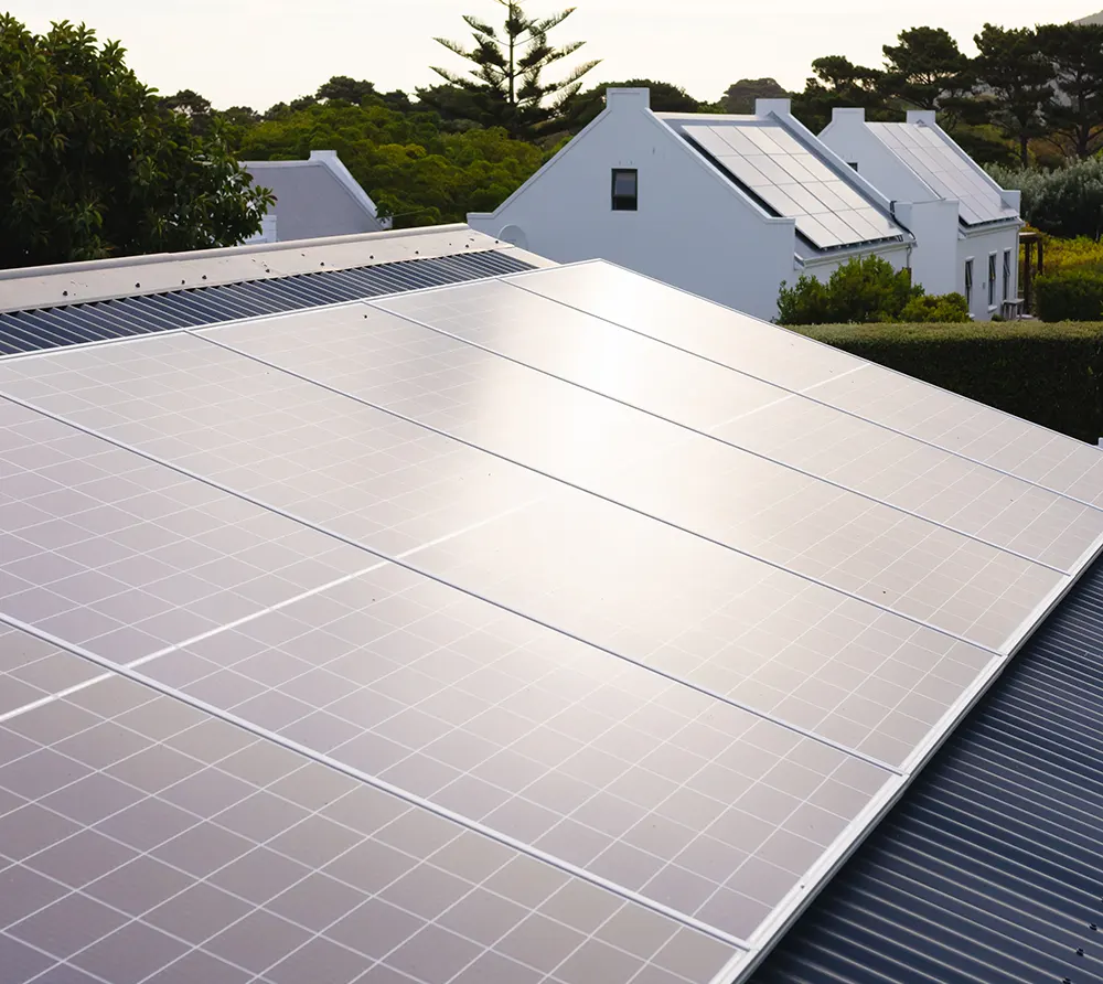 solar panels on rooftops of houses and trees grow